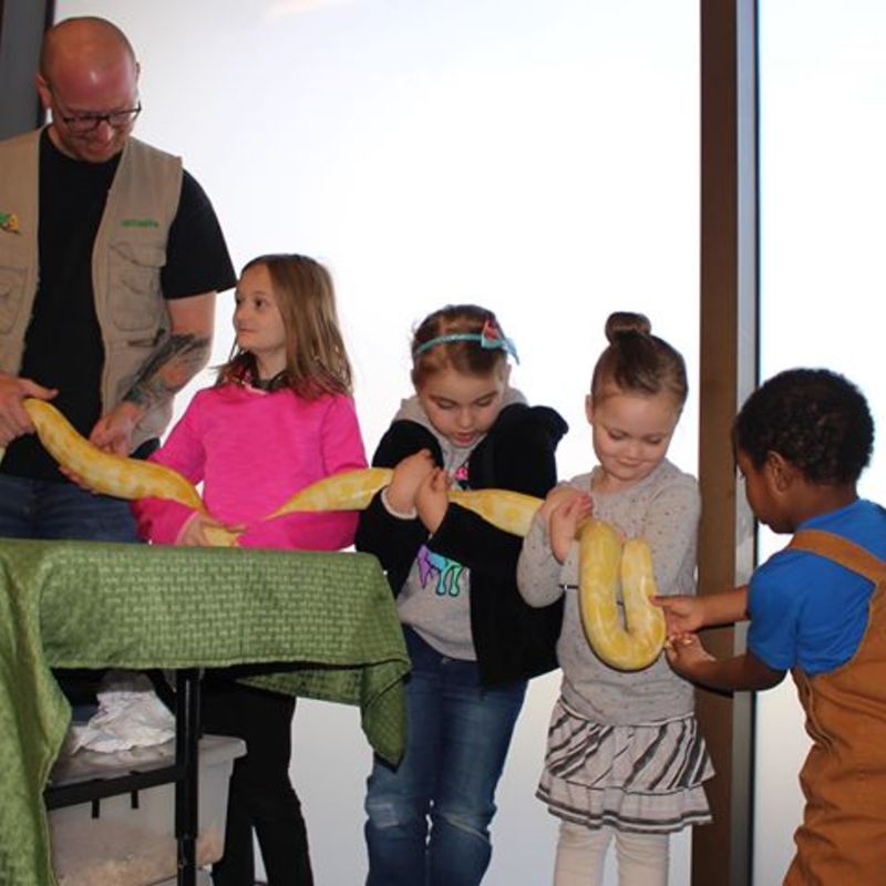 photo gallery image of big snake